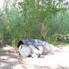 Danke, dass Ihr Euren Müll wegräumt