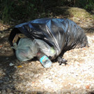 DSCN0379_JPG-1377603144