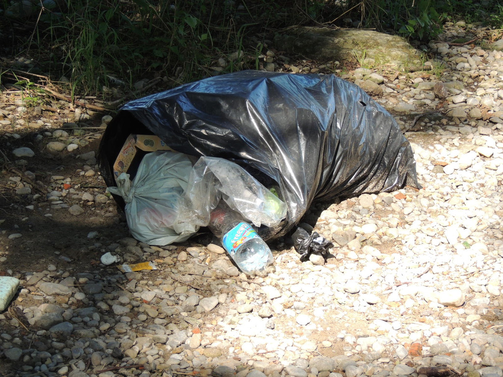 DSCN0379_JPG-1377603144