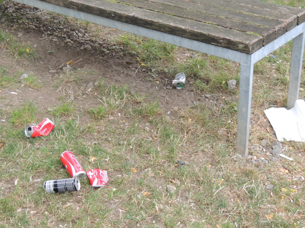 DSCN7642_JPG-1377603188