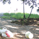 DSCN0397_JPG-1377603162