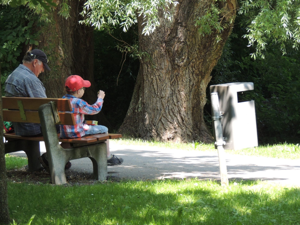 DSCN5320_JPG-1377603184