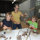 DSCN1092_JPG-1377606441