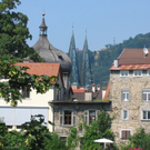 IMG_6241.JPG