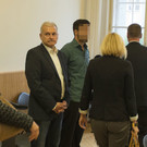 stip1.jpg