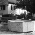 Lauterach_Siedlerfest.jpg
