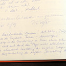 DSCN9095_JPG-1377638810