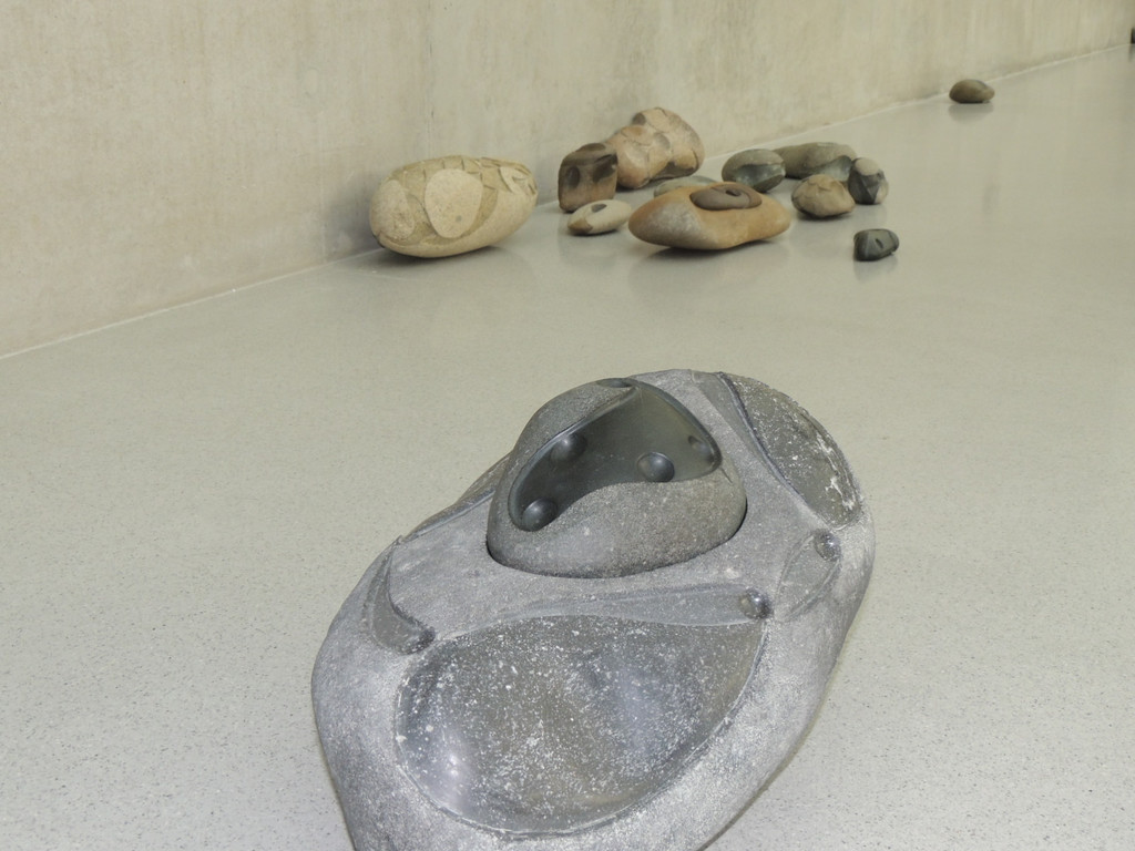 DSCN2696_JPG-1377639995