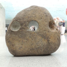 DSCN2714_JPG-1377640007