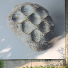 DSCN2032_JPG-1377639987