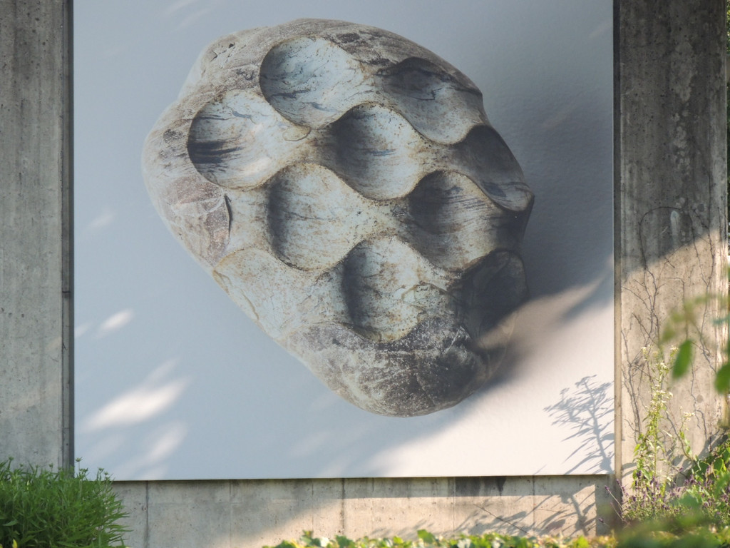 DSCN2032_JPG-1377639987