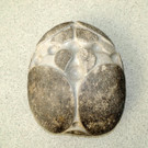 DSCN2728_JPG-1377640028