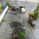 bild1.jpg
