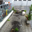 bild3.jpg