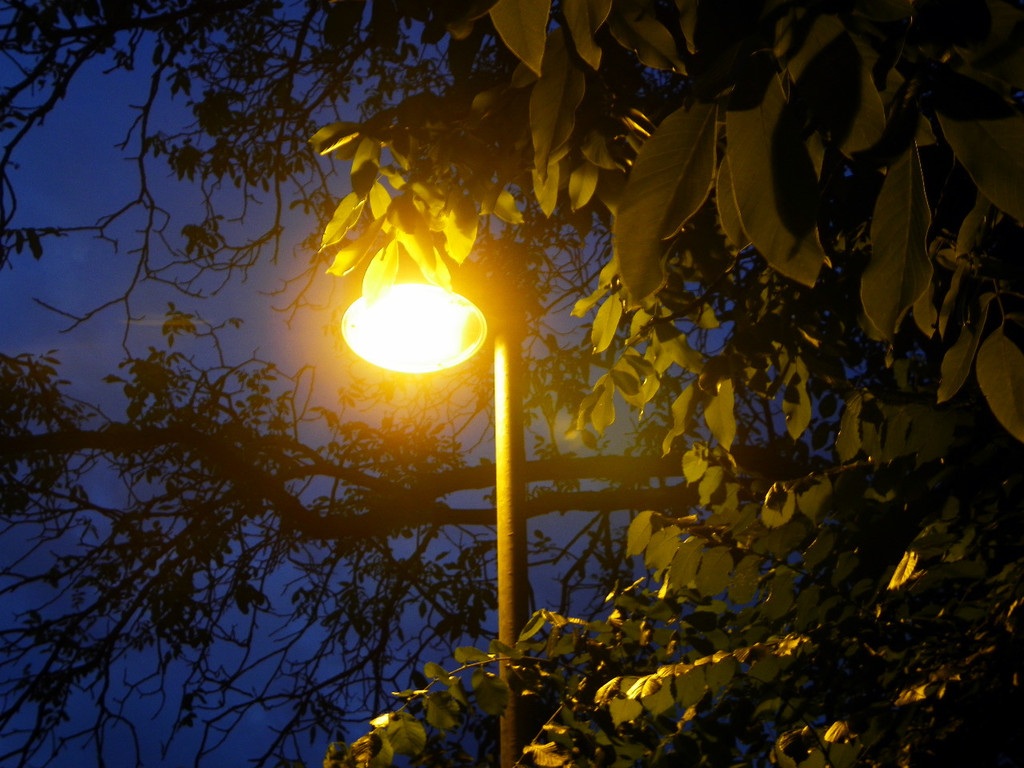 115_1475_JPG-1377725168