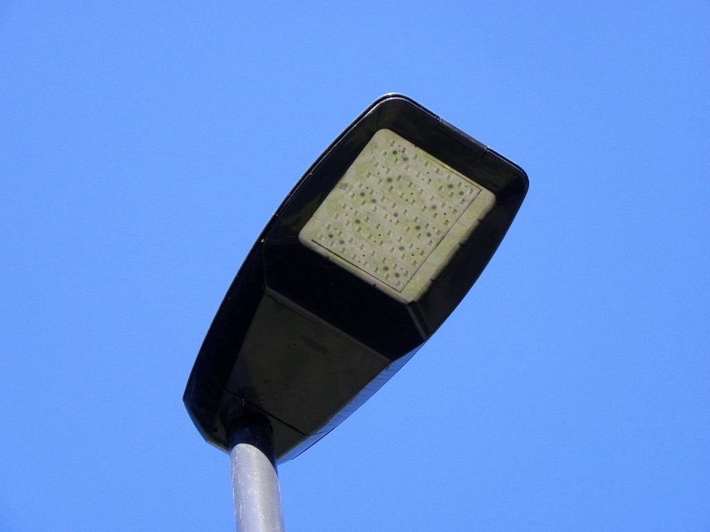 116_2529_JPG-1377725056