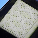 116_2530_JPG-1377725060