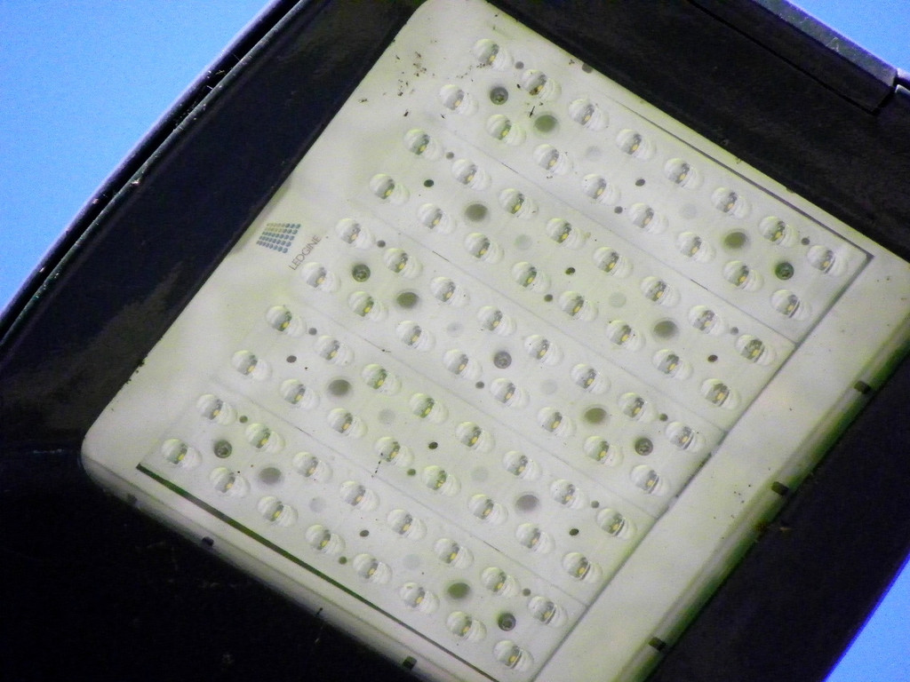 116_2530_JPG-1377725060