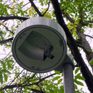 115_1471_JPG-1377725163