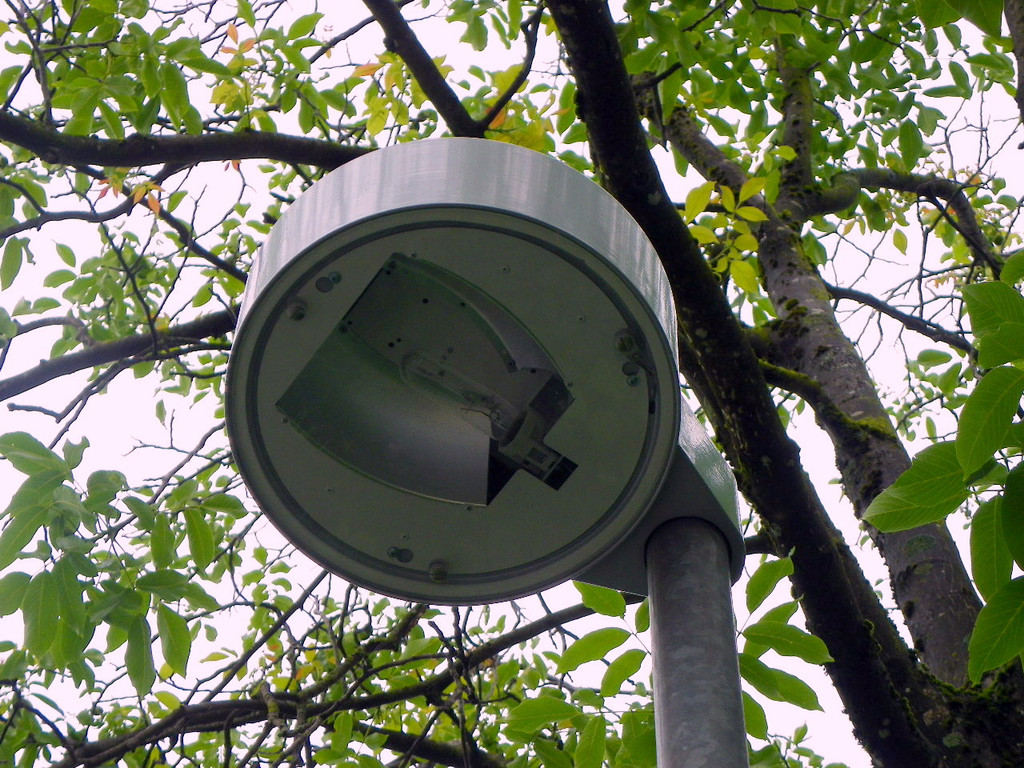 115_1471_JPG-1377725163