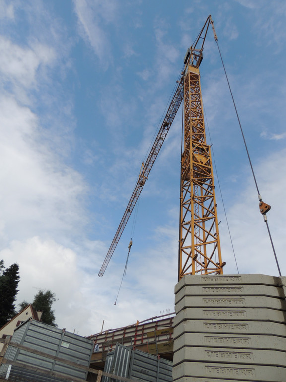 DSCN2105_JPG-1377727182