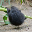 20130827_165013_Zoo_Vienna.jpg