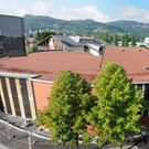 KinderCampus Höchst