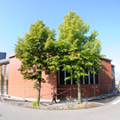 KinderCampus 20-08-2013 4_jpg-1377767178