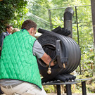 normal_29082013fmt_ARTenschutz_mw-18.jpg