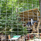 normal_29082013fmt_ARTenschutz_mw-24.jpg