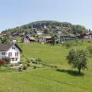 vict2011.JPG