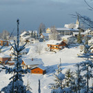 ueber2003.jpg
