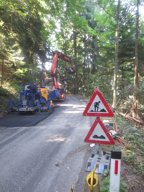 Pf__nderstra__e Asphaltierung Sch__den 2013 _13__jpg-1377849931