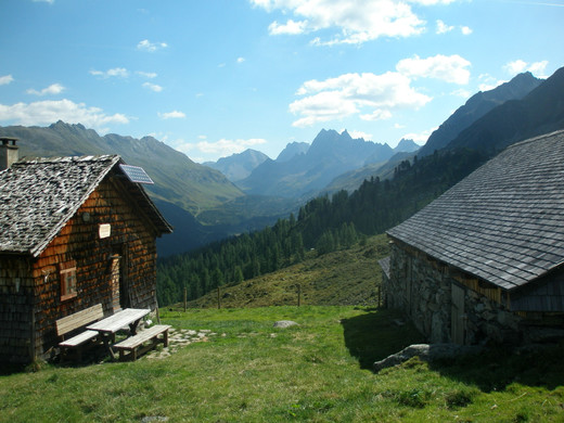 8_9_Silbertal_Duerrwald.JPG