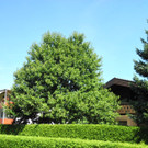 3_JPG-1377867565