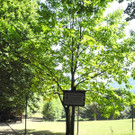 DSCN9879_JPG-1377867608