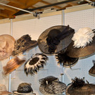normal_30082013fmt_trachtundcountry2013-mw-21.jpg