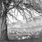 Ludesch_2.jpg