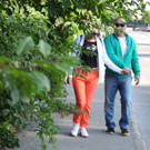 Büsche und Sträucher 