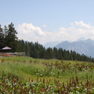IMG_4270.JPG