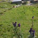 KOE_Wandertipp Freschenhaus 24_jpg-1377973369