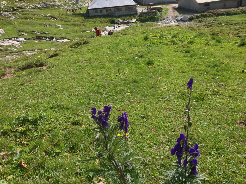 KOE_Wandertipp Freschenhaus 24_jpg-1377973369