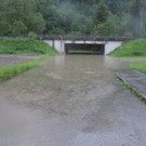 IMG_4004_JPG-1378017090