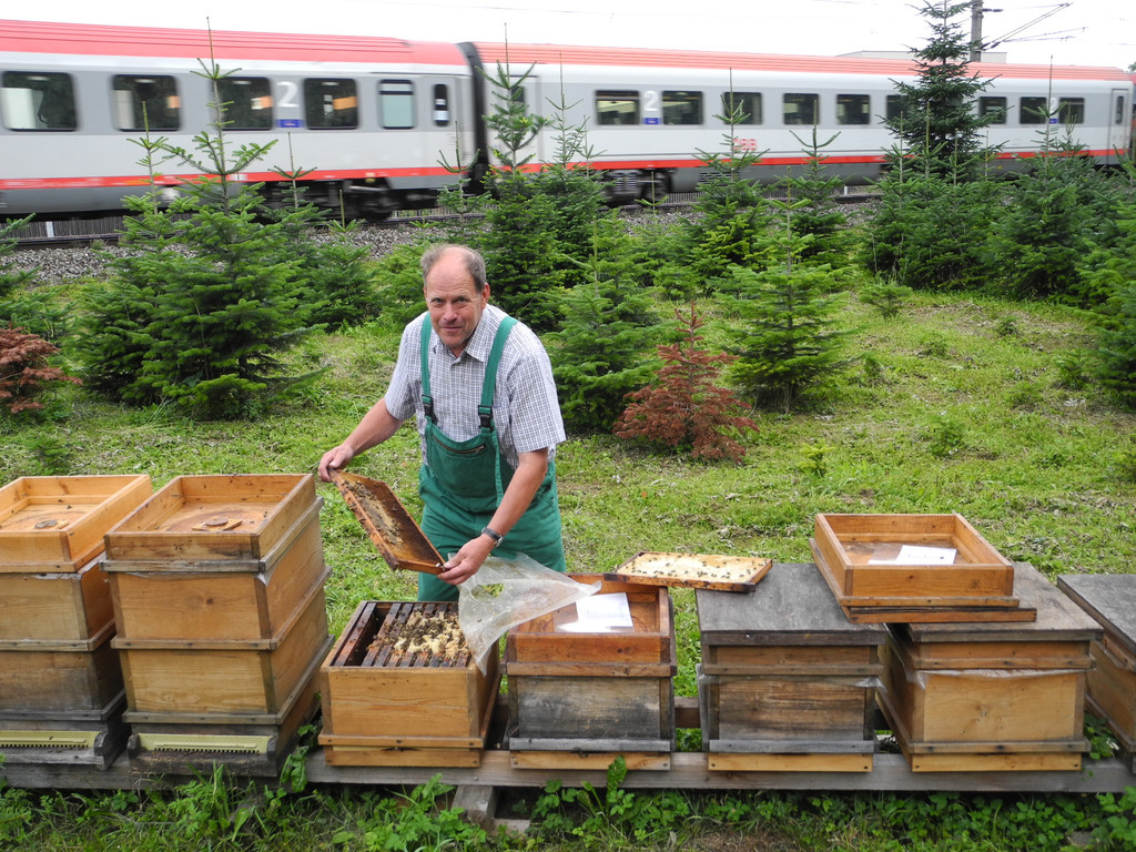 DSCN9894_JPG-1378018154