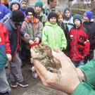 sm_tito_2010_kroeten03_JPG-1268581173
