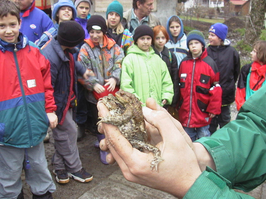 sm_tito_2010_kroeten03_JPG-1268581173