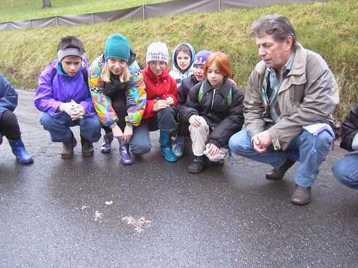sm_tito_2010_kroeten07_JPG-1268581197