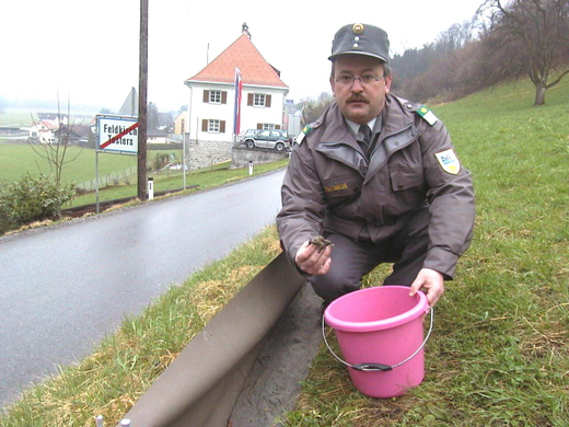 sm_tito_2010_kroeten08_JPG-1268581202