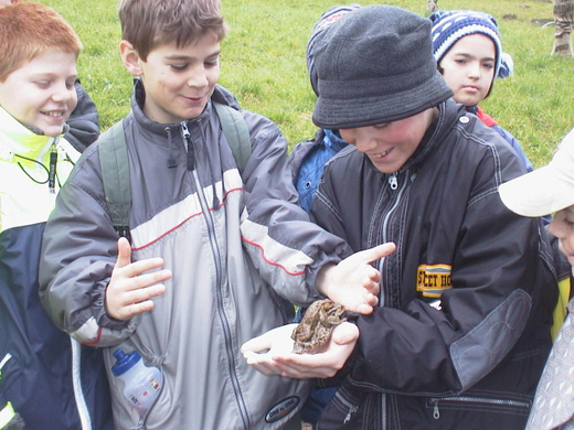 sm_tito_2010_kroeten09_JPG-1268581207