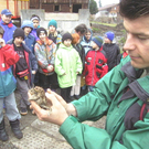 sm_tito_2010_kroeten10_JPG-1268581212